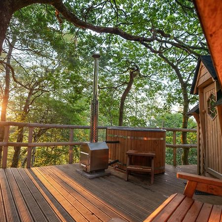 Chestnut Tree House With Hot Tub & Sauna Barmouth Exteriör bild