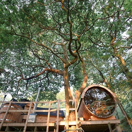 Chestnut Tree House With Hot Tub & Sauna Barmouth Exteriör bild