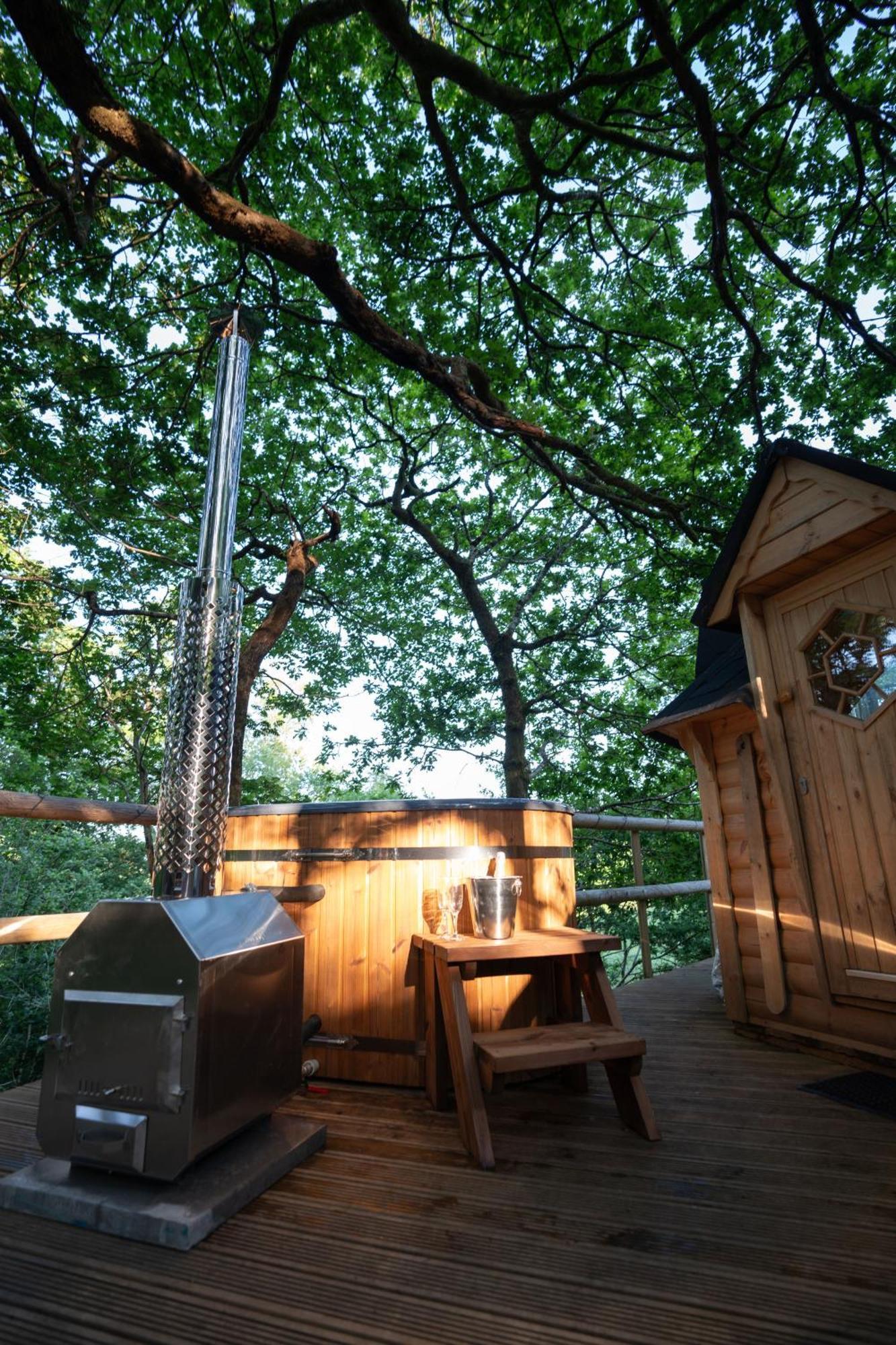 Chestnut Tree House With Hot Tub & Sauna Barmouth Exteriör bild